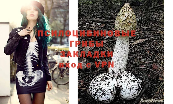 марки nbome Алексеевка