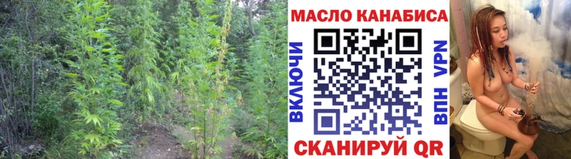 KRAKEN ссылка Завитинск ТГК концентрат